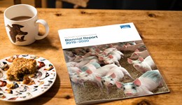 Pig Health and Welfare Council Biennial Report 2019–2020